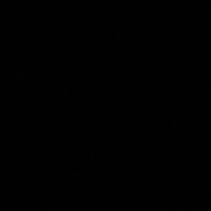 Meet your Posher, Stephani